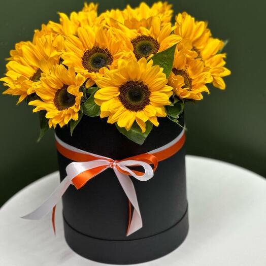 Солнечное очарование🌻