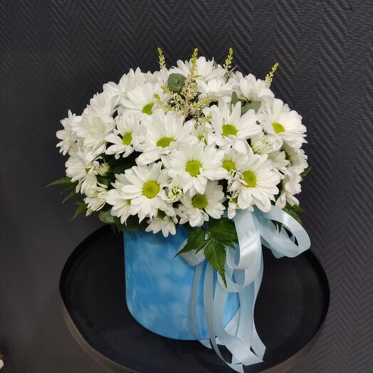 Цветы в бархатной коробке Ромашки для милашки 🌸