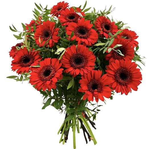 15 red gerberas