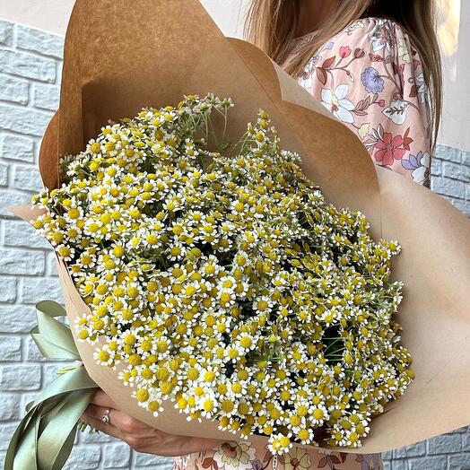 Букет из ромашек 35шт