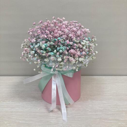 Гипсофила в коробке