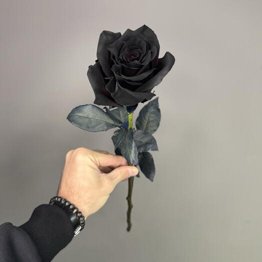 Черные розы 🖤