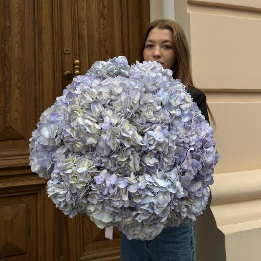 ВАУ букет из 21 сиреневой гортензии