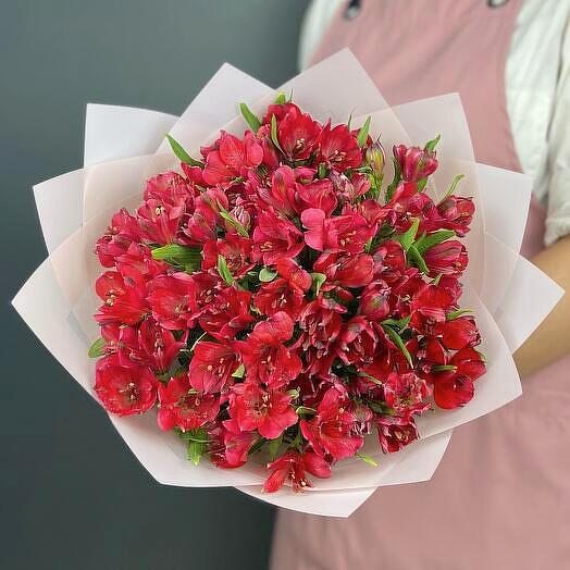 Альстромерия 15 шт red 🍎