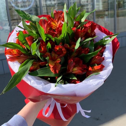 Яркие красные альстромерии