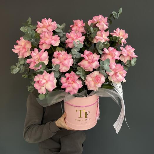 Французская роза «Мандала» в тубусе