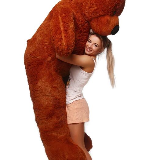 Large chocolate teddy bear 200 cm