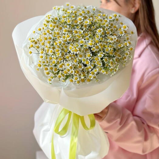 Монобукет из 15 ромашек