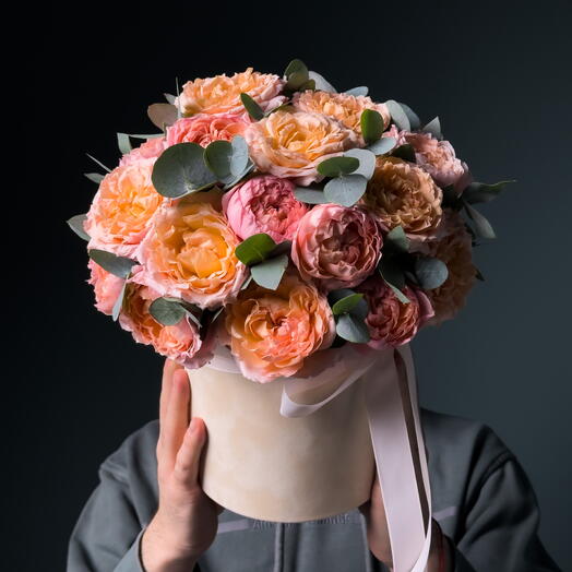 Peach Juliet Symphony — by Studio 23 Premium