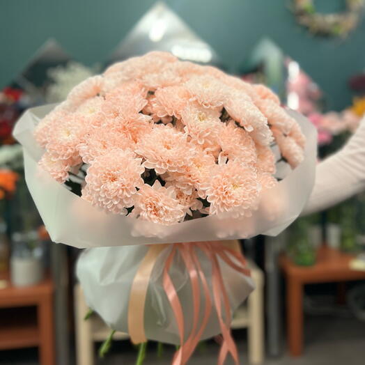 Pastel Chrysanthemum Cloud