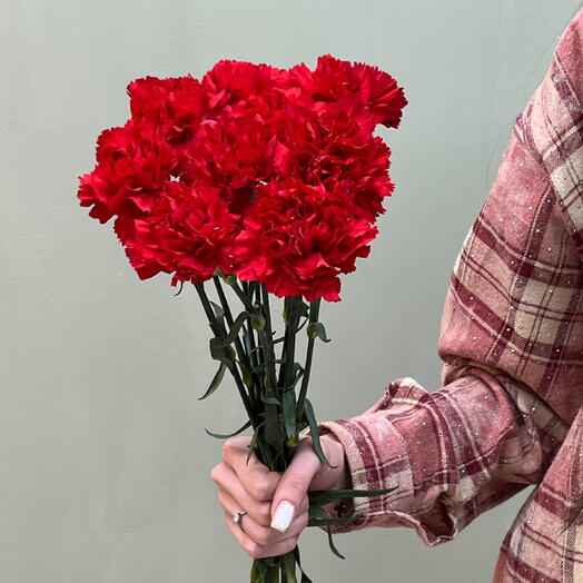 «Память в алых лепестках»