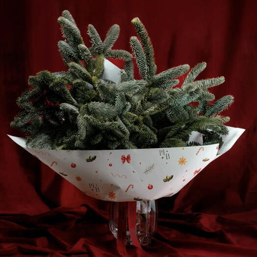 Моно-букет из Нобилиса