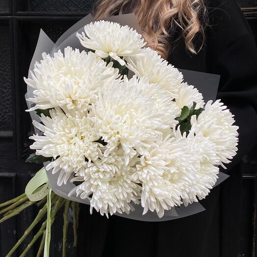 Hrysantema Antonov white