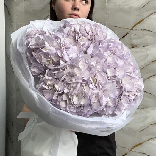 Монобукет Лавандовых Гортензий 5 💜