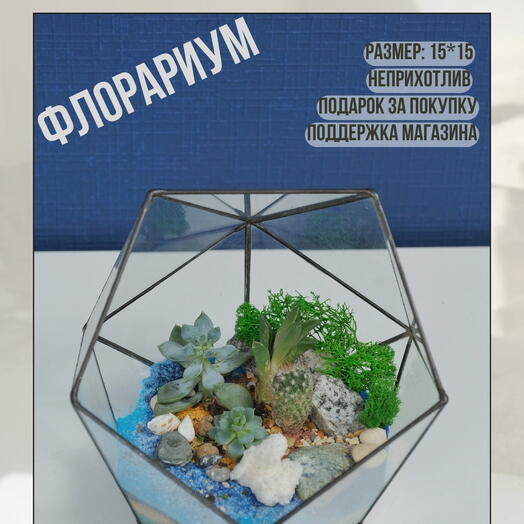 Флорариум коралловый риф
