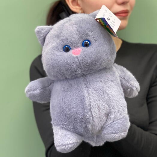 Серый кот карапуз