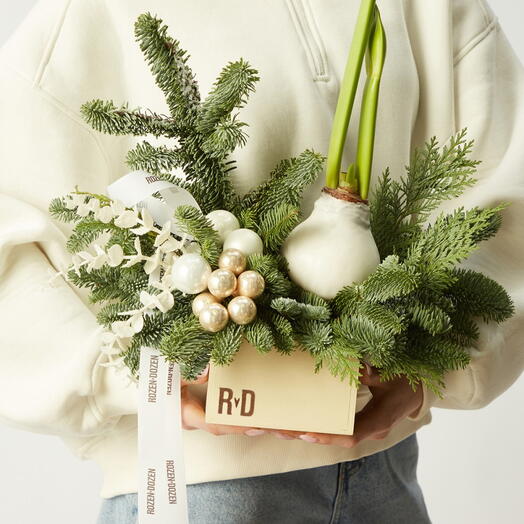 Композиция с нобилисом и луковицей амариллиса Dozen NY 02