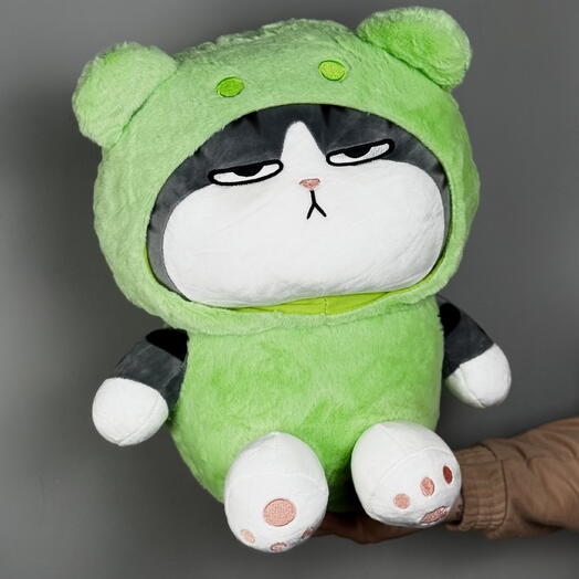 Котенок Элис