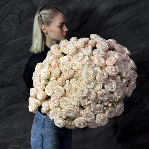 Bombastic 51 (60 cm)