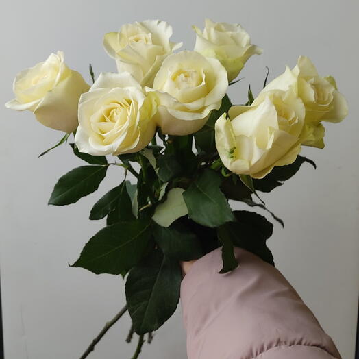 7 белых роз с лентой