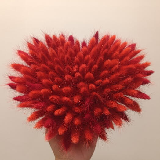 Сердце из лагуруса