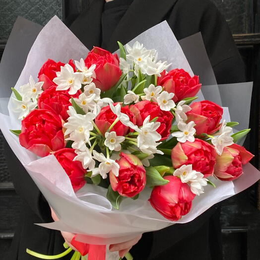 Lale ♥️ Narcissus