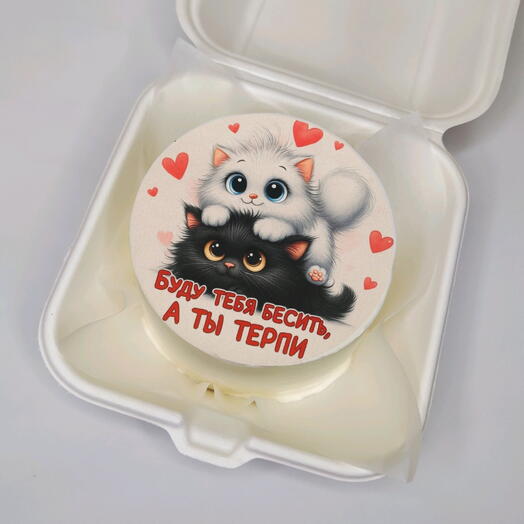 Бенто торт "Буду тебя бесить, а ты терпи"