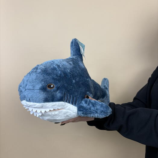 Акула большая