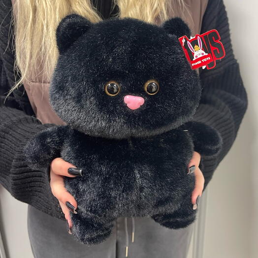 Чёрный кот