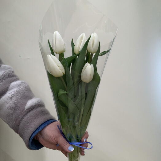 Тюльпаны  5 шт