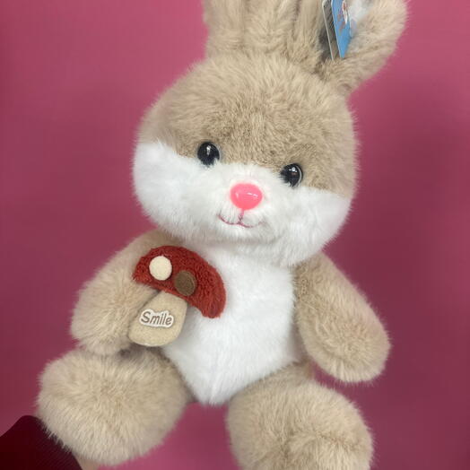 Игрушка зайка очень милый 🐰