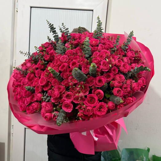 Спрей София