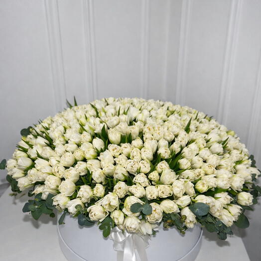 Tulip Amazing