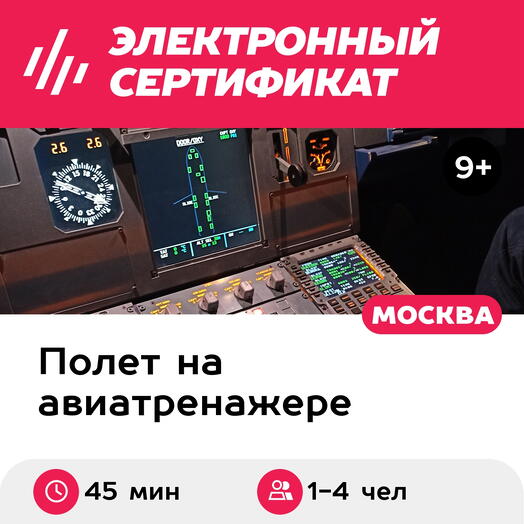 Подарочный сертификат Полет на авиатренажере самолета Airbus A320, 45 минут для 1-4 чел., будни