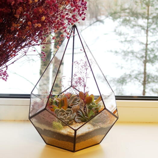 Florarium with succulents