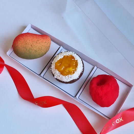 Choko fox spb 