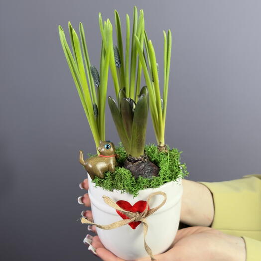 Луковичная композиция в кружке «Сердце»