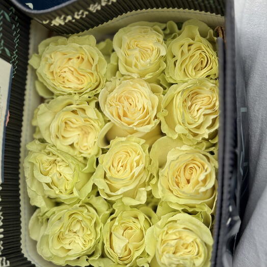 Роза Мондиаль 25шт пачка