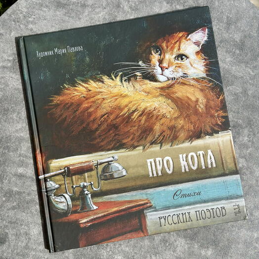 Книга с яркими иллюстрациями «Про кота»