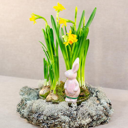 Пасхальная композиция Нарциссы с зайчиком