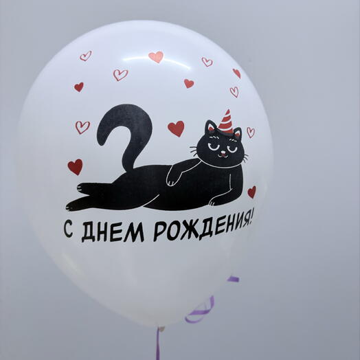 Шар латекс с котом С Днем Рождения