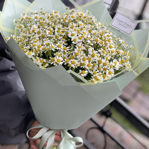 Ромашки