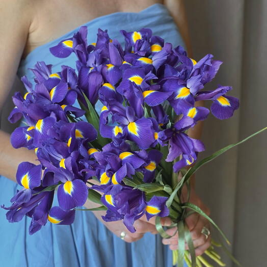 💜Букет 21 ирис синий, фиолетовый, желтый. Букет ирисов цветы в подарок маме, жене, любимой девушке, женщине на день рождение