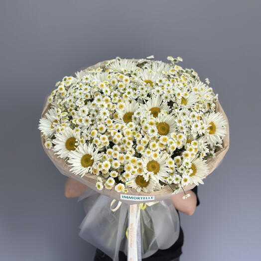 Микс ромашек