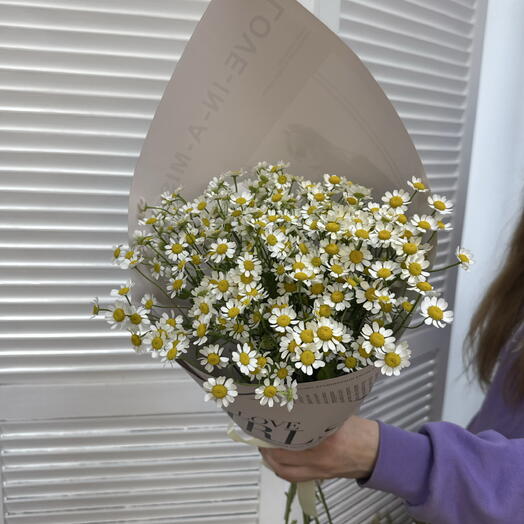 Полевые ромашки в охапке 🌼