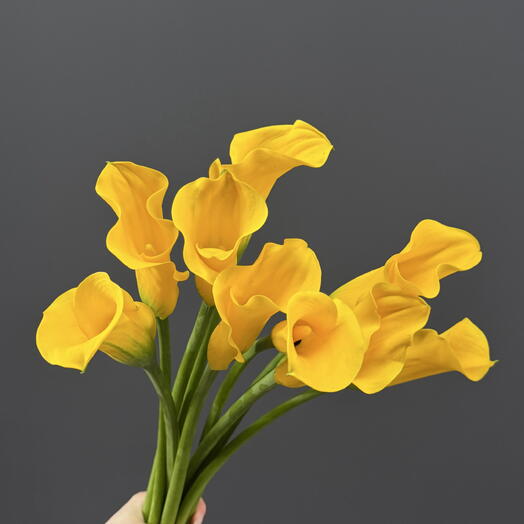 Каллы желтые, 9 шт под ленту 💛