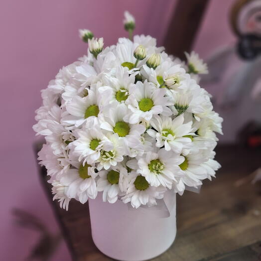 Нежное облако ромашек