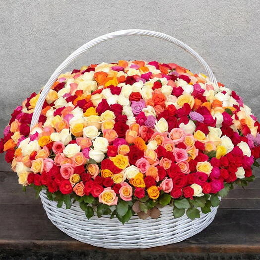 PREMIUM BOUQUET 💎 501 роза в корзине микс
