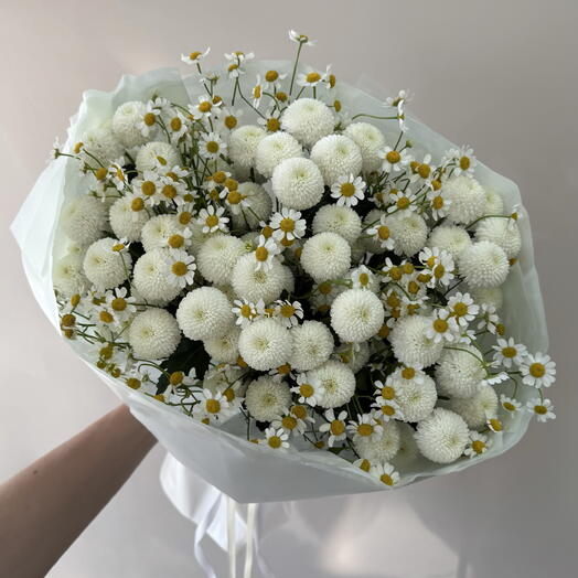 Кустова хризантема Ньютон и ромашка🤍💛авторский сборный букет