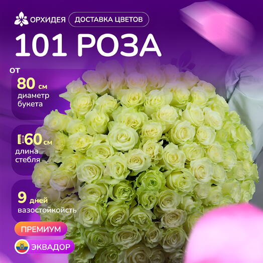 Букет 101 роза "Мондиаль"